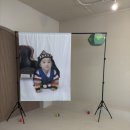 아트워크프린팅 | 돌잔치 배경에서 아기방 커텐까지 패브릭포스터 후기