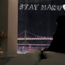 Haru stay