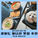 백도씨