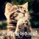 말씀 명상 - 디모데후서 4:1-5 / Meditation on the Word - 2 Timothy 4:1-5 이미지