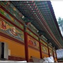 평창 월정사 중대 사자암 목조비로자나불좌상 이미지