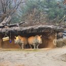 코뿔소한의원 이미지