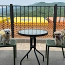 멍스빌리지풀빌라4 이미지