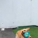 이아뷰 A 이미지