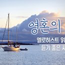 엘로히스트 읽을 때 듣기 좋은 새노래 #2│하나님의교회, 안상홍님, 어머니하나님 이미지