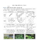대추리길 이미지