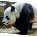 게모임 | 스드메 팬카페 추천 커뮤니티 모임 후기