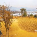 늘품복사 이미지