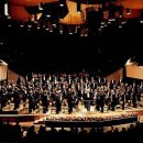 타피올라 이미지