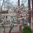 매화정원어린이집 이미지