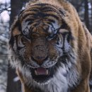 눈빛극장 | 왕과 사는 남자 - 극장 후기(스포)