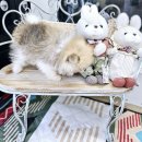 냥만스럽개 이미지