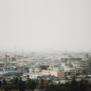 조원시장 이미지