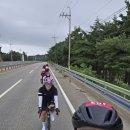 고성정비 | 2025 고성 그란폰도 Tour de DMZ 후기