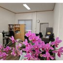 김해투자공인중개사사무소 | 김해부동산 신뢰와 전문성, 이호주공인중개사사무소에서의 경험