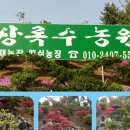 상록수농원 이미지