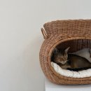 리안건축인테리어 네이버블로그