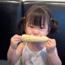 청주과일 베리프레소 이미지