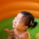 물만난 물고기 이미지