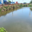 신도3리 이미지