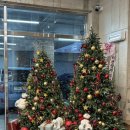 광주 풍천 장어 | 광주 양산동 맛집 더큰장어 몸보신 하러 풍천장어 먹고 온 후기