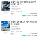 ✈️ 6월 괌 여행 🌊 3일차 🩵 리가로얄라구나괌리조트 인피니티풀 / 데데도새벽시장 / 리티디안비치 / 모...