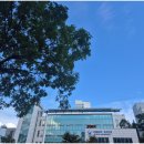 청명행정사 이미지