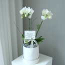 논현종로약국 이미지