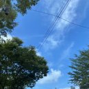 장성우리주유소 이미지