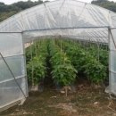 구레울체험마을 이미지