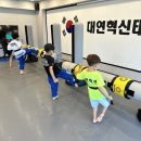 대연혁신 태권도 이미지