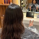 BOB PC | 일본미용실 후기, 도쿄미용실에서 숏컷 도전 (가격·예약 방법 총정리)