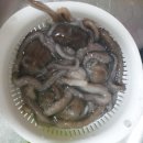 광일수산 티스토리