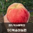 철만농장 이미지