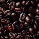 바리스타 커피 2급(야간) 이미지