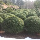 석전농장 이미지