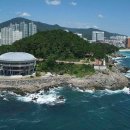 마루하우스 이미지