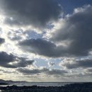북촌 리브 | 제주도 1일차 : 고집돌우럭,관곶,카페시소,북촌리브,몽탄