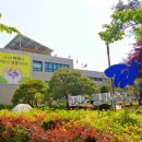 금촌다목적실내체육관 이미지