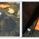 신우의료기 이미지