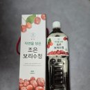 보리수농장 | 보리수로 만든 건강음료 황가네유니농장 보리수청 먹어본 후기