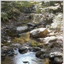 땅끝 남도의 향기 이미지