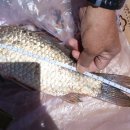 덕수농장 이미지