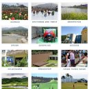 강빛사랑 이미지