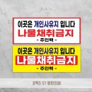 대전 동구 애터미
