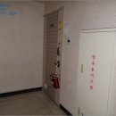 광양읍 용강초등학교 이미지