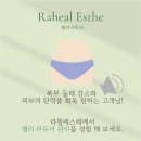 라힐에스떼고양지축