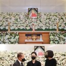 강수연 의원 이미지