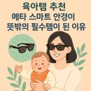 스마트안경 | 메타 레이밴 스마트 안경 실사용 후기(육아템으로 써봤어요)