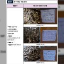 이레식품상사 이미지